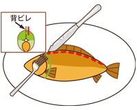魚の食べ方03