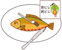 魚の食べ方04