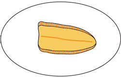 ヒラメのムニエル食べ方01