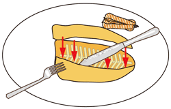 ヒラメのムニエル食べ方08